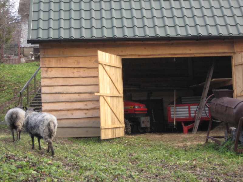 Owce przed stodołą