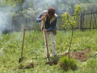 Sir Julian Rose uczestniczy w tworzeniu ogrodu