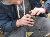 IMG_0041