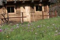 P1001810