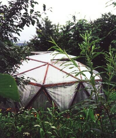 The greenhouse in ECOCENTRE ICPPC