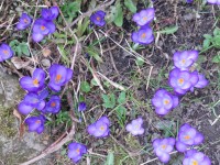 IMG_9423_www