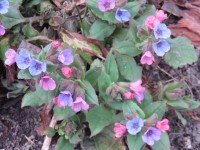 IMG_9427_www