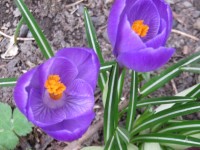 IMG_9433_www