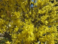 IMG_9468_www