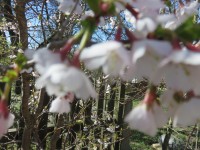 IMG_9476_www