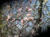 IMG_9479_www