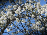 IMG_9483_www