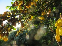 IMG_9623_www