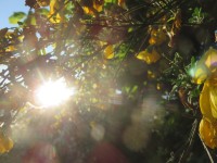 IMG_9624_www