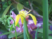 IMG_9634_www