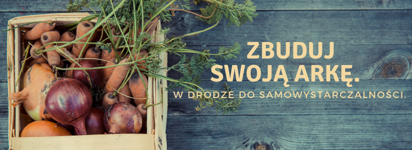 Warsztaty z serii ZBUDUJ SWOJĄ ARKĘ. W DRODZE DO SAMOWYSTARCZALNOŚCI. Ekocentrum