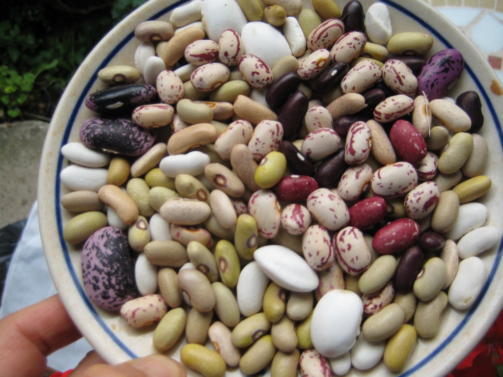 Seasonal and healthy eating ? lectures and workshops Workshops