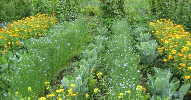 Where can you find good food? ON THE WAY to self-sufficiency Workshops